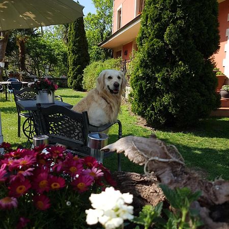 Hotel Rural El Torrejon Arenas De Cabrales Εξωτερικό φωτογραφία