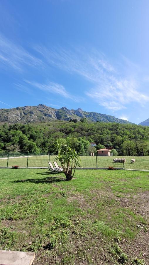 Hotel Rural El Torrejon Arenas De Cabrales Εξωτερικό φωτογραφία