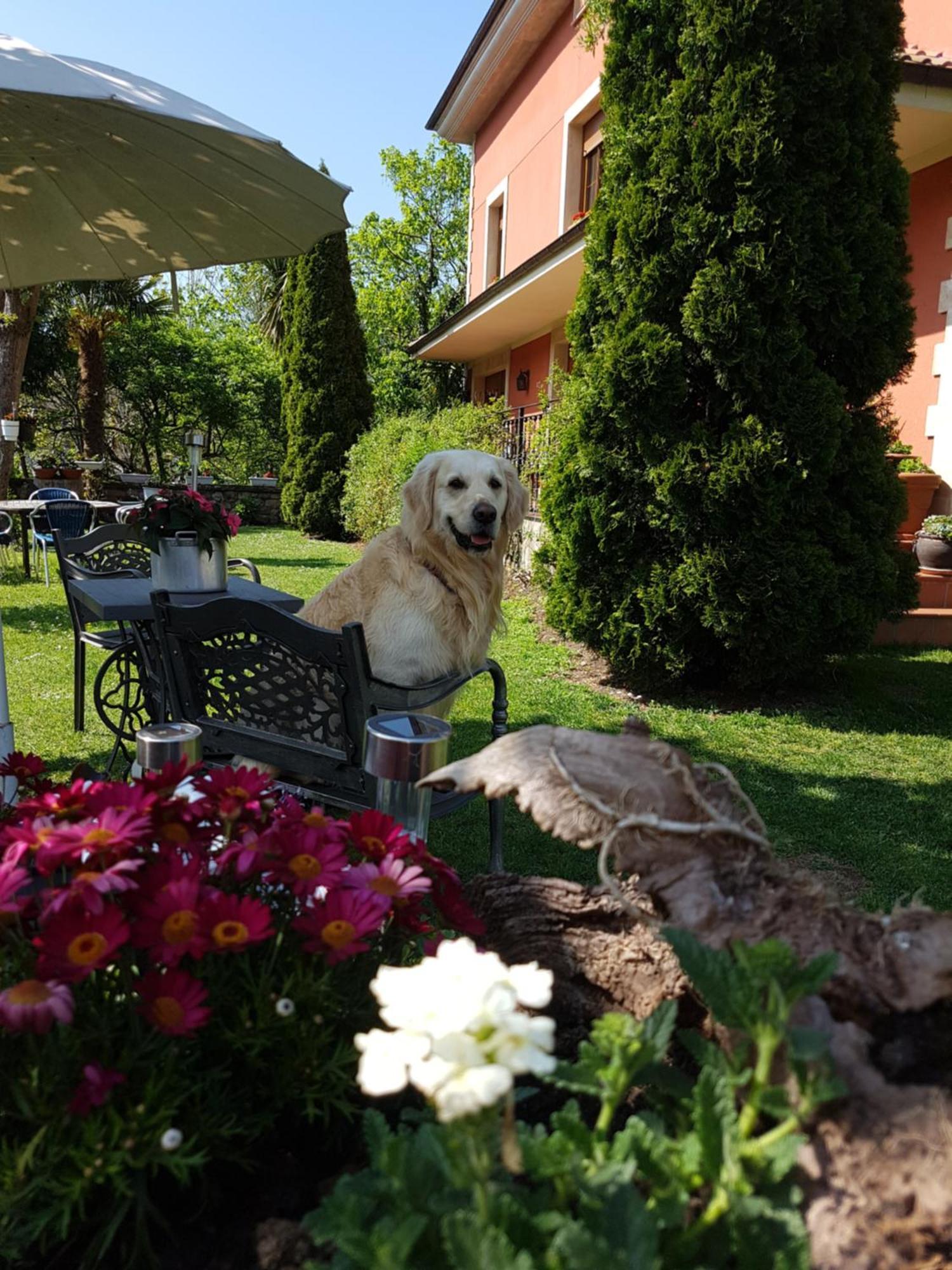 Hotel Rural El Torrejon Arenas De Cabrales Εξωτερικό φωτογραφία