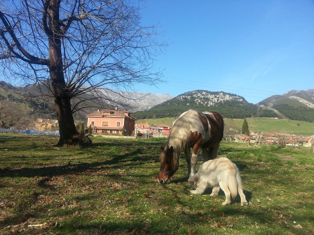 Hotel Rural El Torrejon Arenas De Cabrales Εξωτερικό φωτογραφία